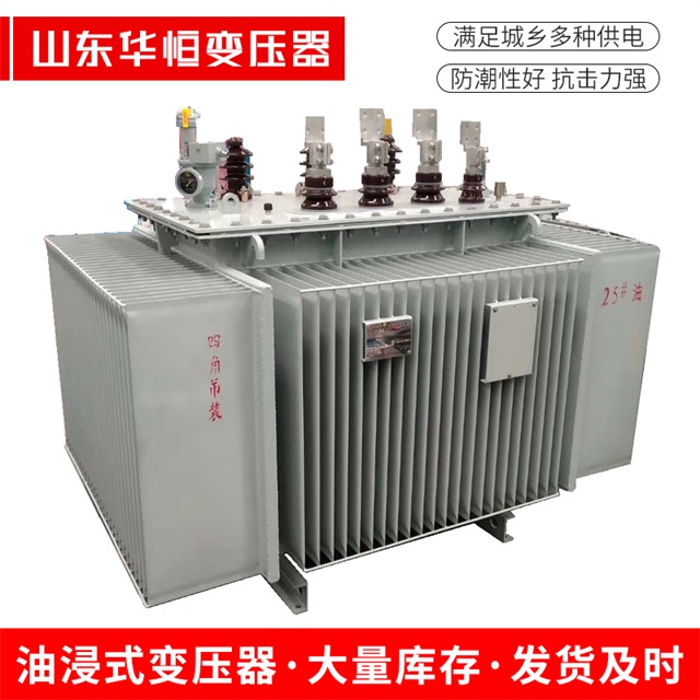 S13-10000/35泰来泰来泰来电力变压器厂家