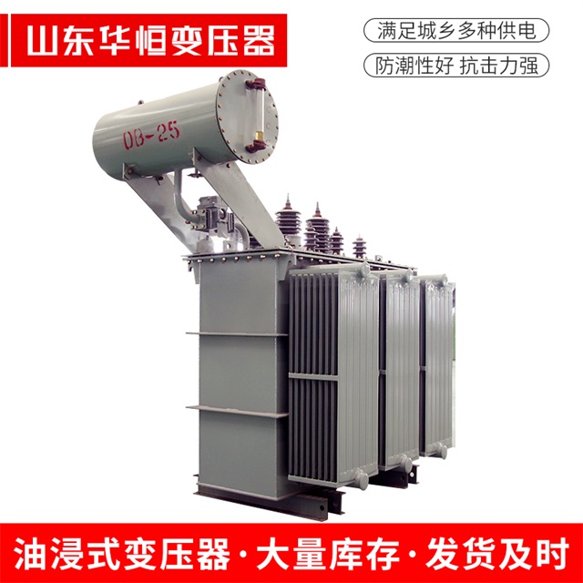S11-10000/35泰来泰来泰来电力变压器厂家