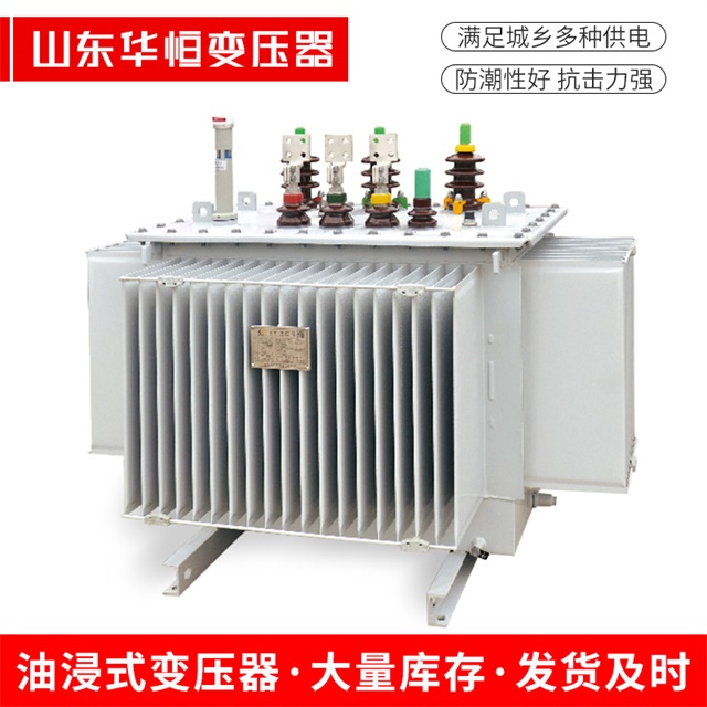 S13-10000/35泰来泰来泰来电力变压器
